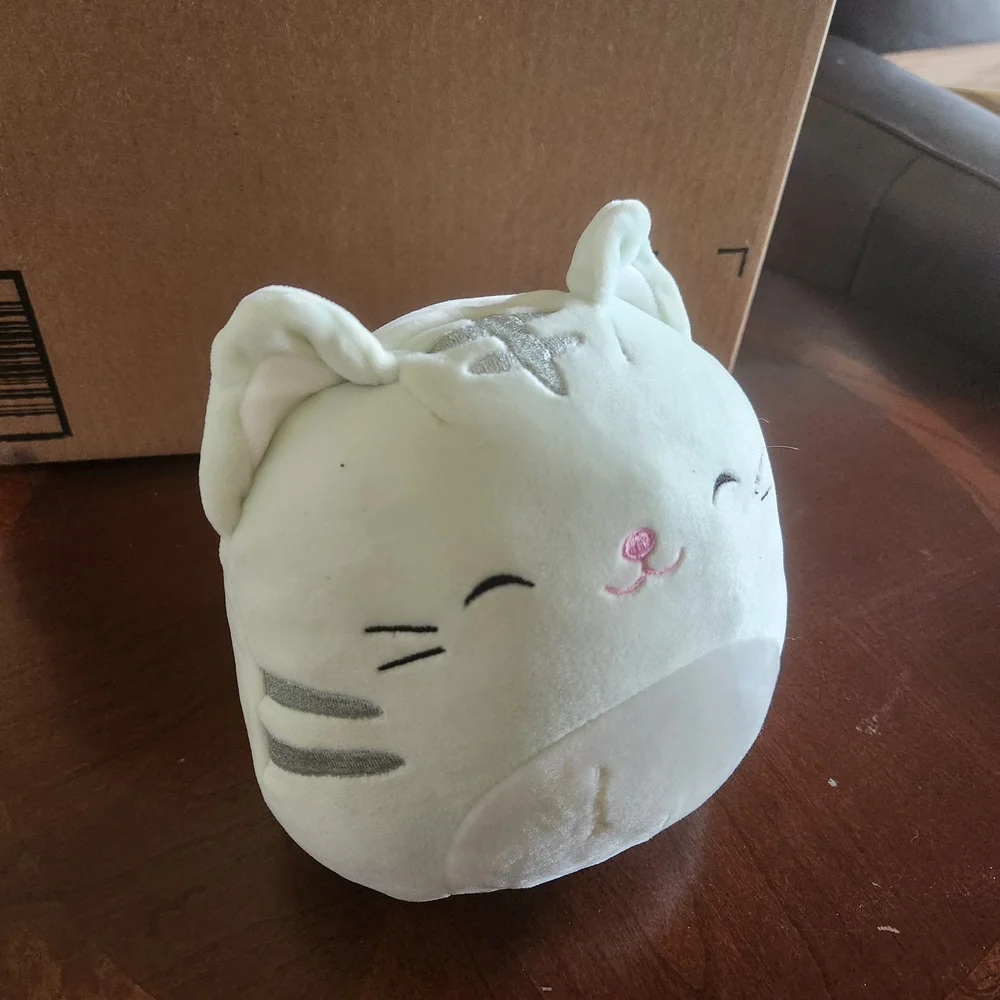 Squishmallows Cat 